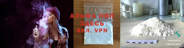 СК Богородицк