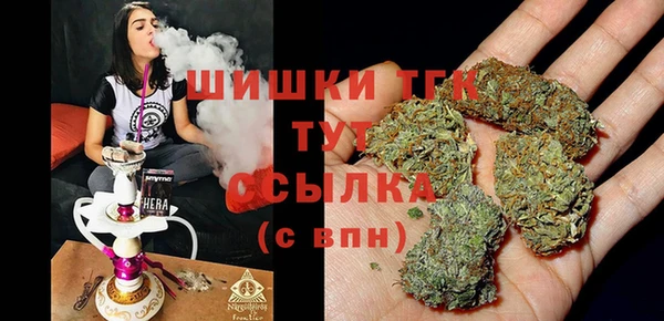 СК Богородицк