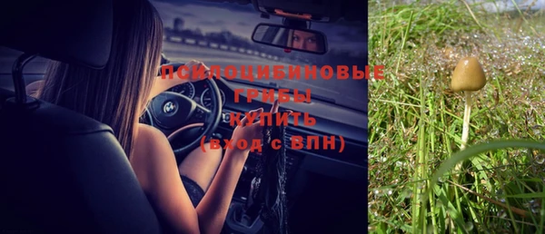 СК Богородицк
