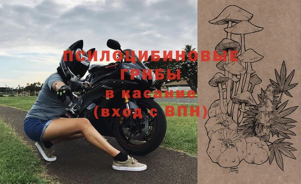 СК Богородицк
