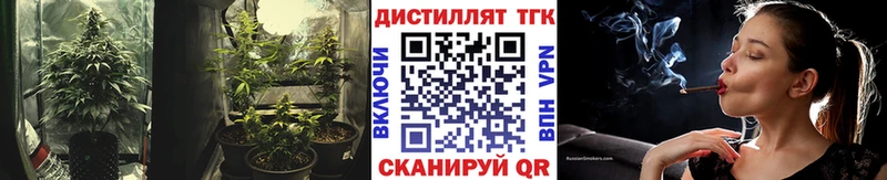 Дистиллят ТГК вейп  Ува 